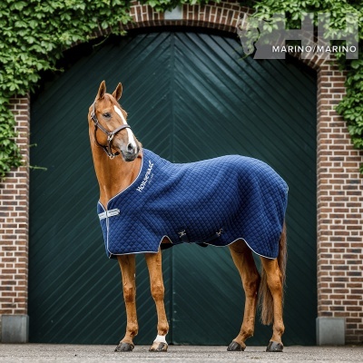 Cavalo com manta azul-marinho à frente de porta de madeira verde escura e parede de tijolos