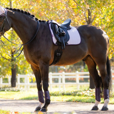 Cavalo castanho com sela preta e acessórios roxos em ambiente ao ar livre