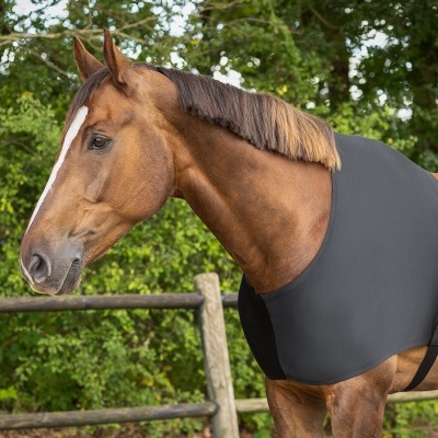 Cavalo castanho com cobertura preta junto a cerca de madeira.