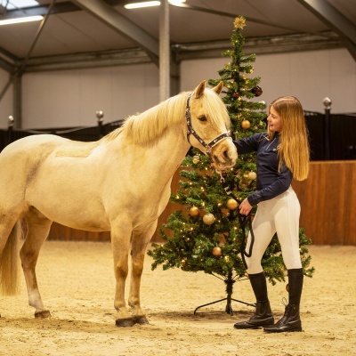 Menina segura cavalo bege ao lado de árvore de Natal decorada em estábulo.
