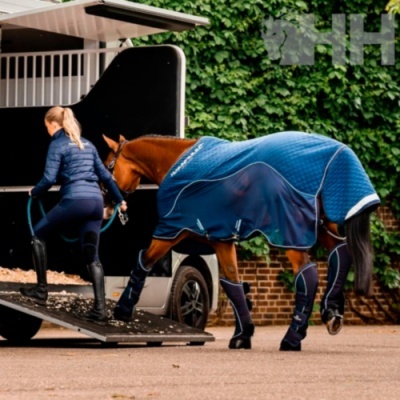 Cavalo com manta azul e pessoa a entrar em atrelado para cavalos