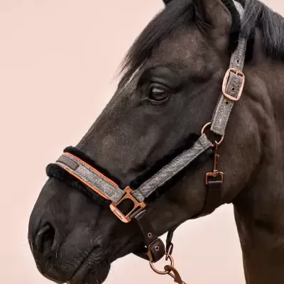 Cabresto cinzento para cavalo com pelúcia e metal dourado