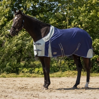Cavalo vestido com manta azul e cinza ao ar livre