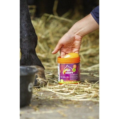 Frasco de gel para cavalos com rótulo roxo e amarelo e tampa laranja ao lado da perna de um cavalo preto numa cama de palha