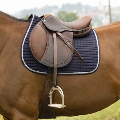 Cavalo castanho com sela marrom e manta azul acolchoada ao ar livre