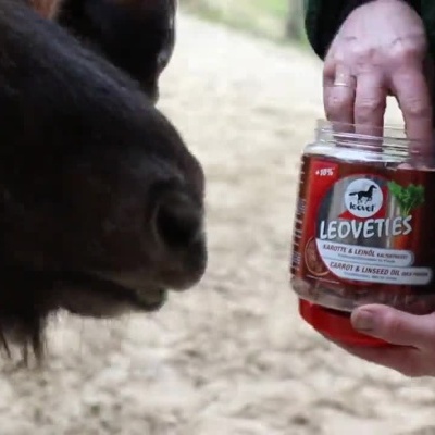 Pessoa a dar snacks para cavalo de um frasco Leoveties