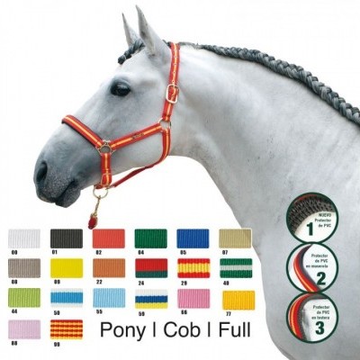 Cavalo com cabresto vermelho e várias opções de cores de cabrestos em tecido exibidas