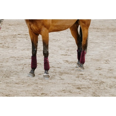 Patas de cavalo com peúgas protectoras cor de vinho, em chão arenoso