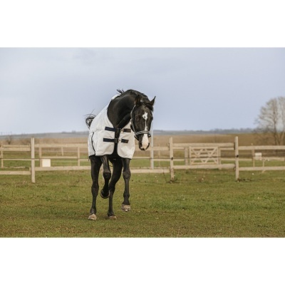 Cavalo preto com manta branca num campo de relva com cerca de madeira