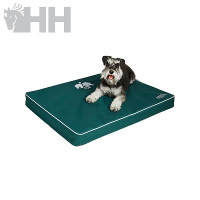 Colchão verde escuro para cão com logo e texto Helly Hansen, cão cinzento e branco deitado