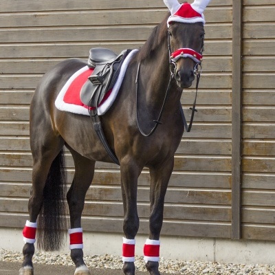 Cavalo vestido com equipamento vermelho e branco com chifres brancos