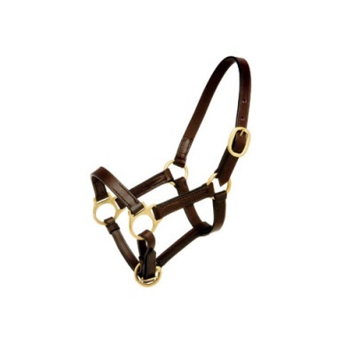 Cabresto de cavalo em pele castanha com fivelas douradas