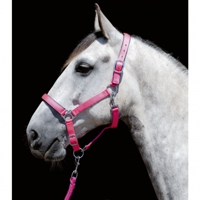 Cavalo branco com cabresto rosa ajustável e corda rosa