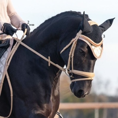 Cavalo preto com arreios bege e touca preta com detalhe dourado, montado ao ar livre.