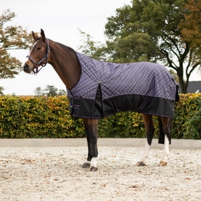 Cavalo com manta protetora preta e roxa com padrão geométrico