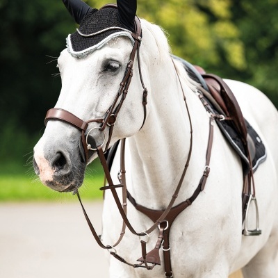 Cavalo branco com arreios castanhos e touca preta ao ar livre