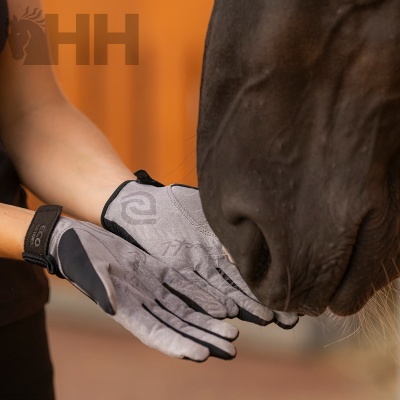 Pessoa com luvas cinzentas com marca EGO a tocar o focinho de um cavalo castanho escuro