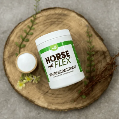 Recipiente branco de suplemento Horse Flex sobre mesa de madeira com plantas secas