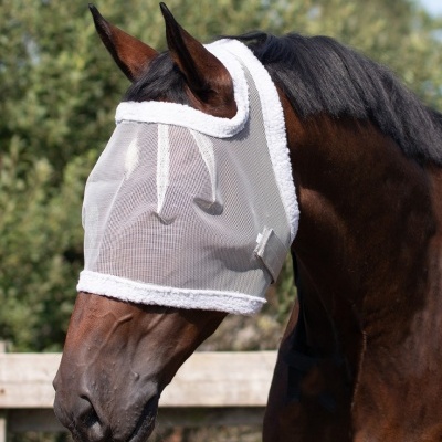 Máscara protetora branca para cavalo na cabeça do animal com bordas acolchoadas