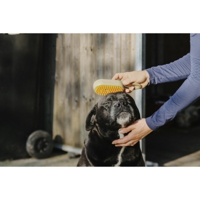 Pessoa a pentear cão preto com escova amarela num espaço exterior