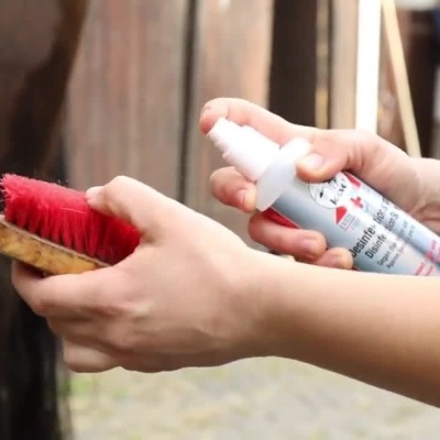 Mãos aplicam spray desinfetante em escovas e cabo de madeira junto a um cavalo.