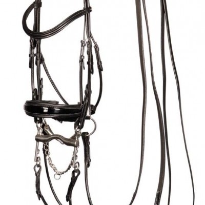 Frontal de cavalo em couro preto com ferragens metálicas.