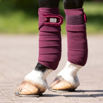 Pernas de cavalo com bandagens vinho em pavimento claro