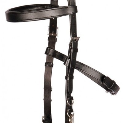 Bridão de cabedal preto com fivelas metálicas