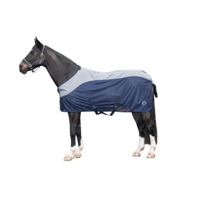 Cavalo com manta azul escura e cinza clara em fundo branco