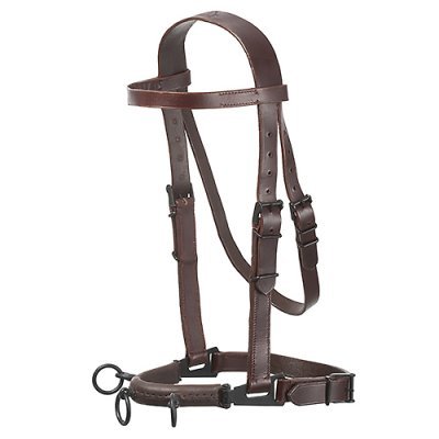 Cabresto de couro castanho escuro para cavalo com fivelas e argolas metálicas.