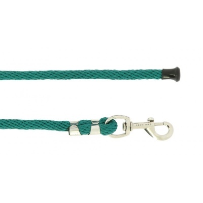 Trela para cão verde com gancho metálico