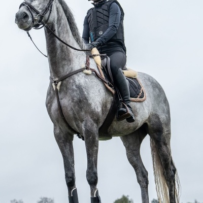 Cavaleira com equipamento de equitação montada num cavalo cinzento em campo aberto