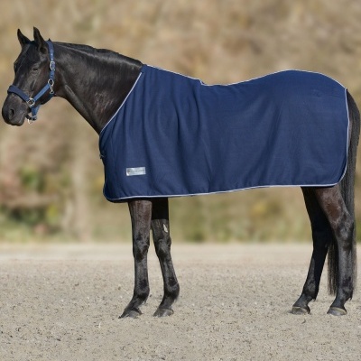 Cavalo preto com manta azul escura em areia clara.