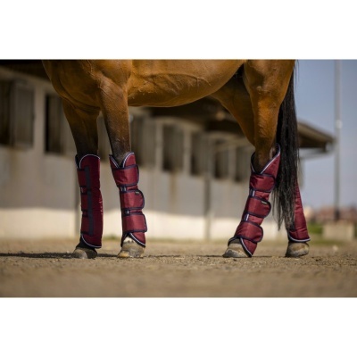 Cavalos com proteções vermelhas nas pernas e cauda em estábulo.