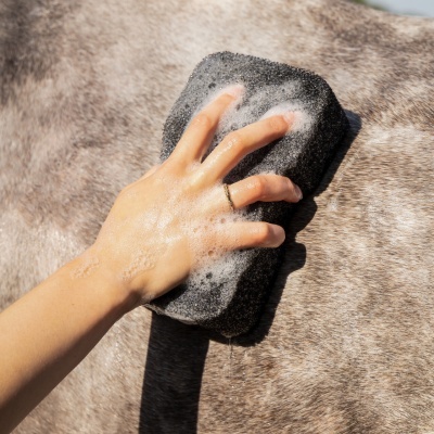 Mão molhada a esfregar esponja preta na pelagem de um cavalo cinzento.