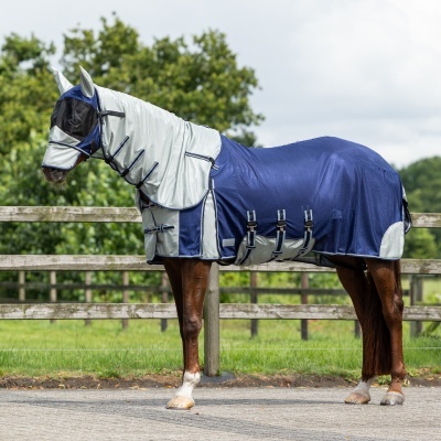 Cavalo com manta de proteção azul e cinza e máscara
