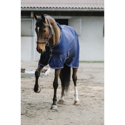 Cavalo com manto azul marinho em área externa