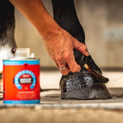 Mão a pintar a ferradura de um cavalo com um pincel