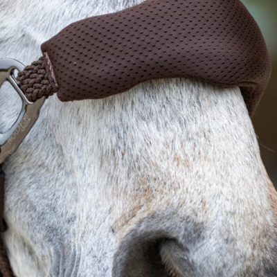 Peitoral marrom sobre o nariz de um cavalo cinza