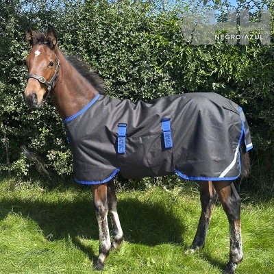 Cavalo com cobertura preta e azul ao ar livre