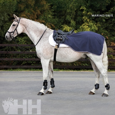 Cavalo cinzento com sela e manta azul-marinho