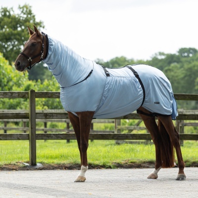Cavalo castanho com cobertura protectora azul clara ao ar livre