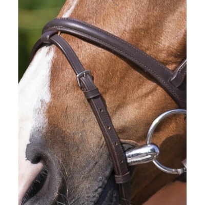 Cabeça de cavalo com rédea de couro castanho escuro e embocadura metálica prateada