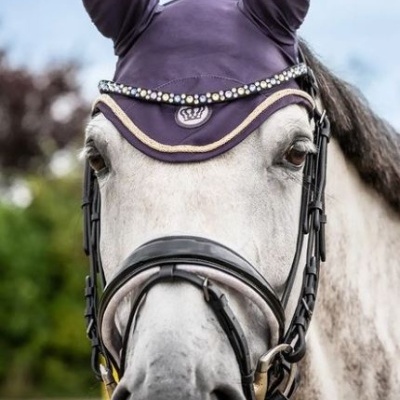 Cavalo branco com cabresto preto e touca roxa decorada