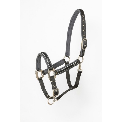 Cabresto para cavalo preto com fitas acolchoadas e fivelas de metal dourado