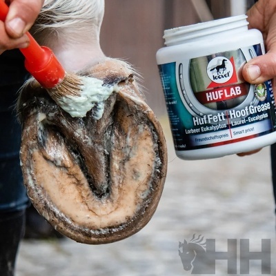 Aplicação de creme branco no casco de cavalo com pincel e recipiente de HufFett HoofGrease