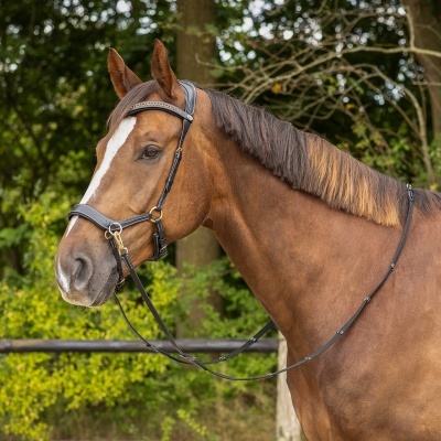 Cavalo castanho com cabresto e rédeas de couro preto em ambiente natural