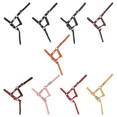Cabrestos coloridos em material têxtil com fivelas metálicas
