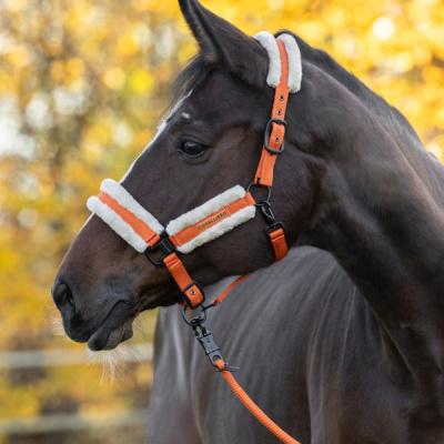 Cavalo castanho com cabresto laranja acolchoado branco em ambiente natural