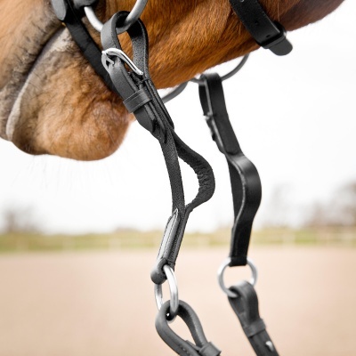 Cavalo castanho com embocadura preta de couro e metal